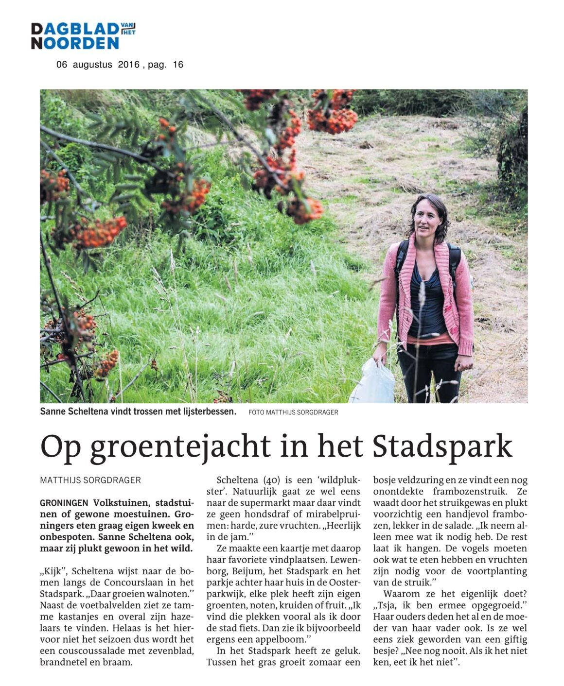20160806 – dvhn-20160806-gs01016010-page0