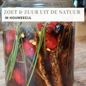 ZOET & ZUUR UIT DE NATUUR