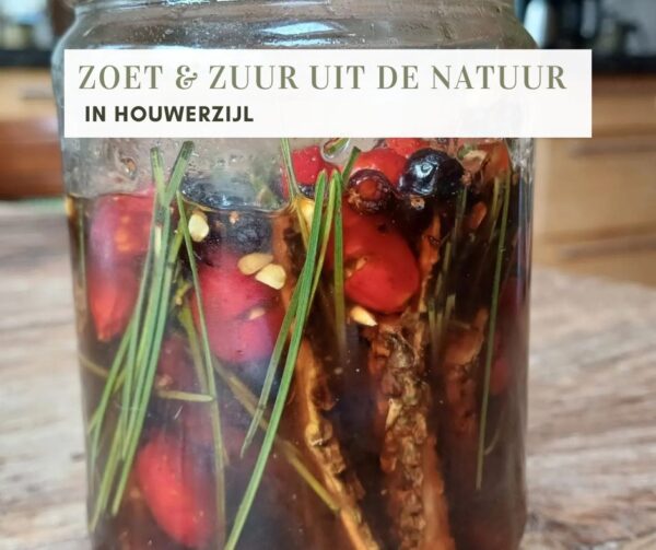 ZOET & ZUUR UIT DE NATUUR