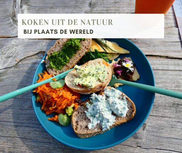 KOOKWORKSHOP ETEN UIT DE NATUUR (VRIES) vol