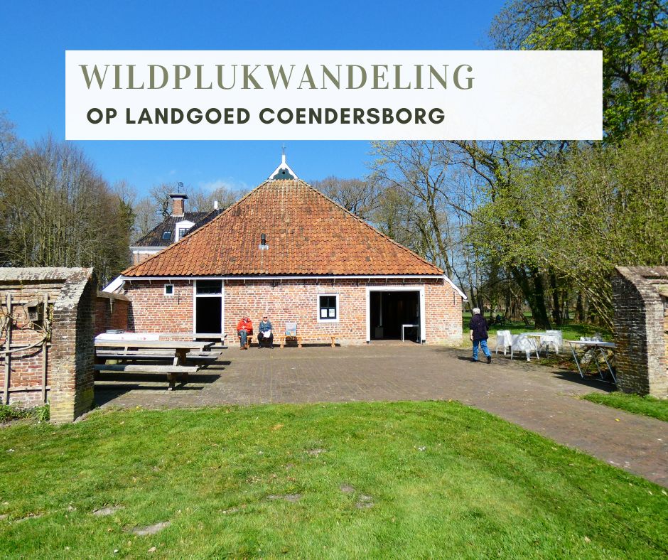 Wildplukwandeling Coendersborg 2025