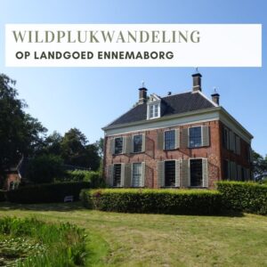 WILDPLUKWANDELING OP LANDGOED ENNEMABORG (MIDWOLDA)