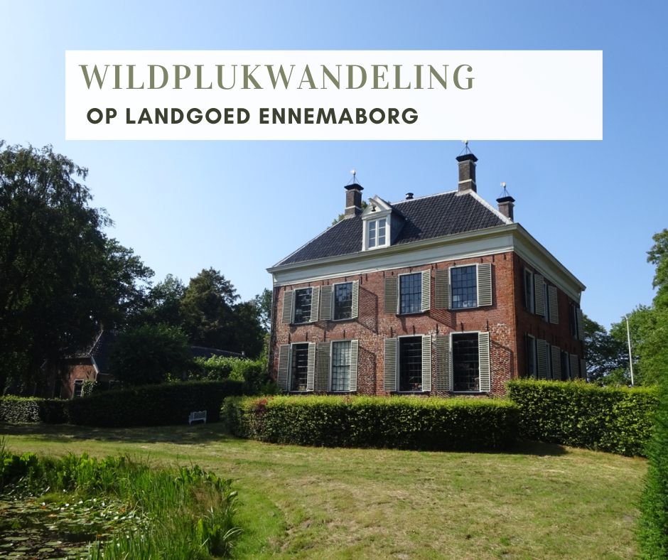 Wildplukwandeling Ennemaborg 2025