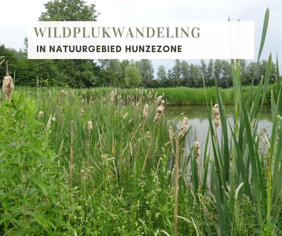 Wildplukwandeling Hunzezone 2025