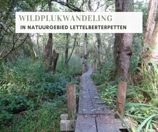 WILDPLUKWANDELING IN NATUURGEBIED LETTELBERTERPETTEN (WESTERKWARTIER)