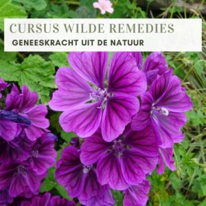 CURSUS WILDE REMEDIES herfst (groep A)