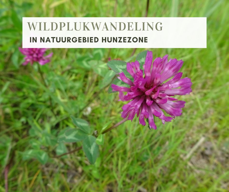 Wildplukwandeling Hunzezone 2025-3