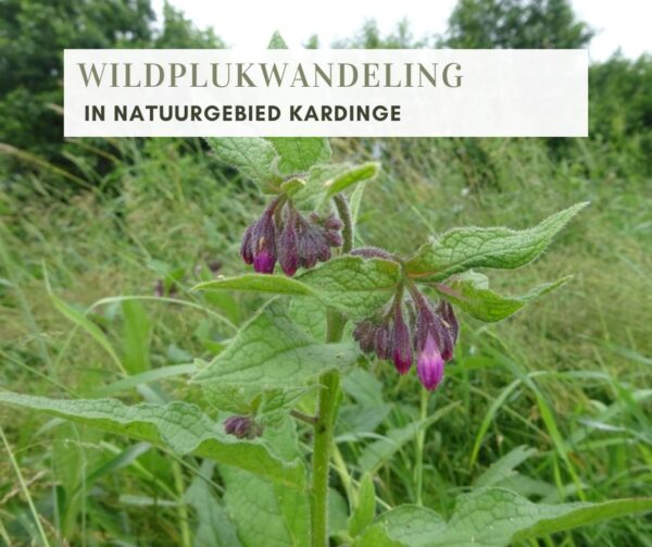 WILDPLUKWANDELING IN NATUURGEBIED KARDINGE