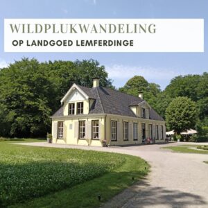 WILDPLUKWANDELING OP LANDGOED LEMFERDINGE (PATERSWOLDE)