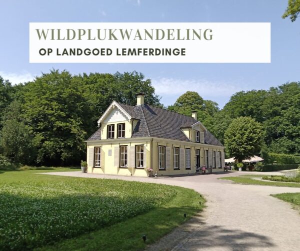WILDPLUKWANDELING OP LANDGOED LEMFERDINGE (PATERSWOLDE)
