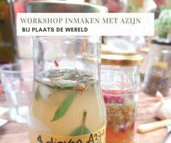 INMAKEN: WORKSHOP AZIJN MAKEN EN GEBRUIKEN (VRIES)