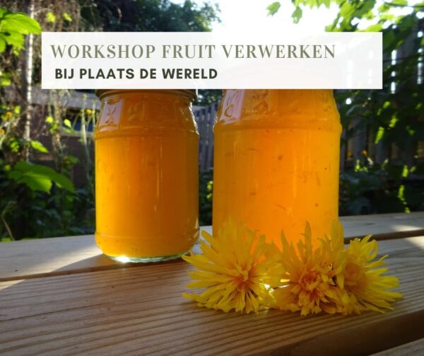 INMAKEN: WORKSHOP FRUIT VERWERKEN TOT JAM & CHUTNEY (VRIES)