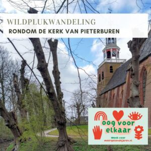 WILDPLUKWANDELING IN PIETERBUREN