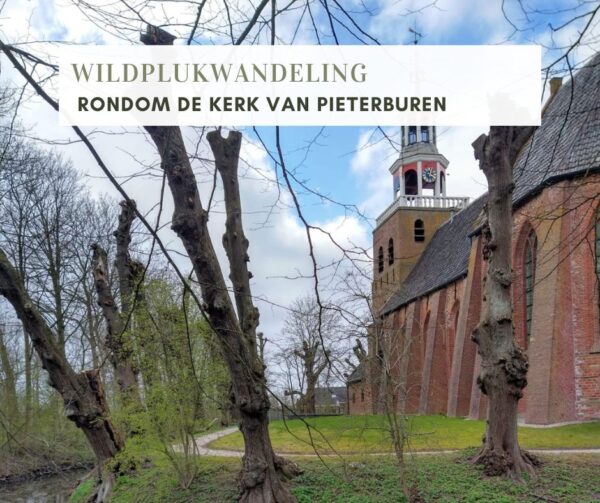WILDPLUKWANDELING IN PIETERBUREN