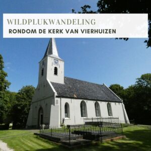WILDPLUKWANDELING IN VIERHUIZEN