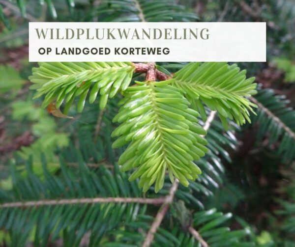 WILDPLUKWANDELING OP LANDGOED KORTEWEG (SMILDE) wordt verplaatst
