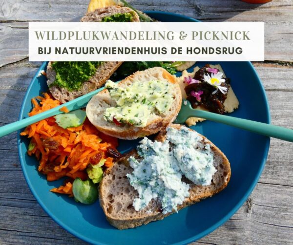 WILDPLUKWANDELING & WILDE PICKNICK OP DE HONDSRUG